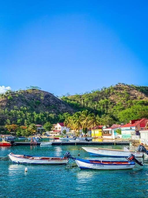 Villa Ker Iguane Terre De Haut Les Saintes Екстер'єр фото